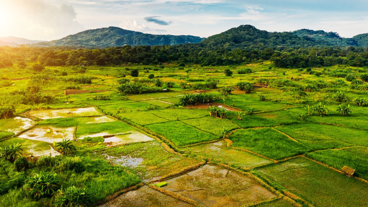 Malawi